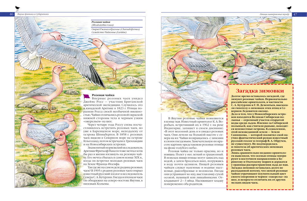 Красная книга России – Животные  